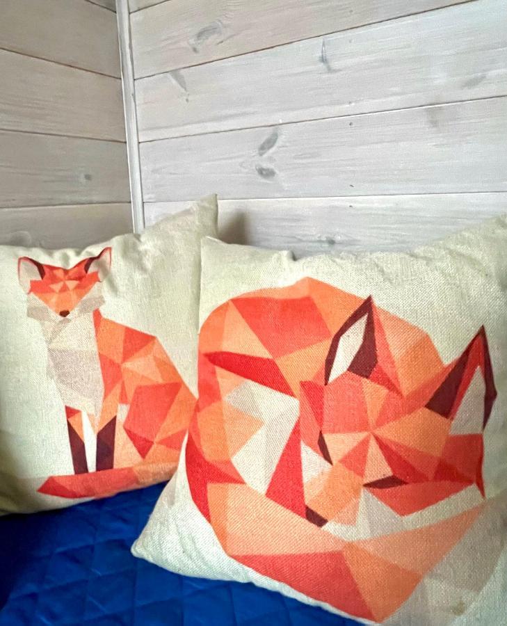 Guest House Mr Fox Druskininkai Exteriér fotografie